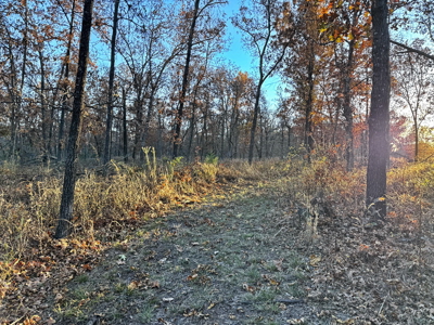 Recreational Land for Sale in Cedar County, Missouri - image 30