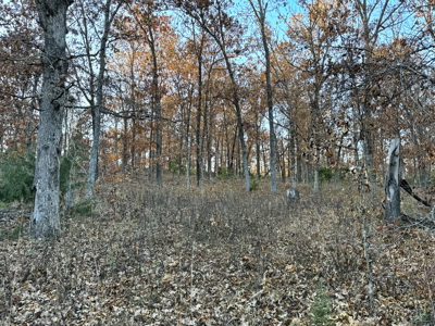 Recreational Land for Sale in Cedar County, Missouri - image 20