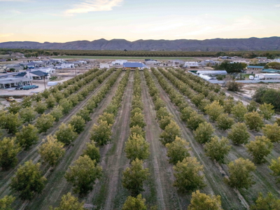 Luxury Country Living in Las Cruces, NM - image 50