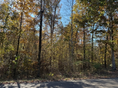 Land To Build On For Sale In Hardin County Tn - image 2