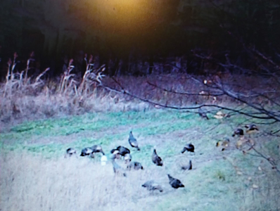 Windy Ridge – Conservation Homestead – 187 ± Acres in Monroe Cty - image 40