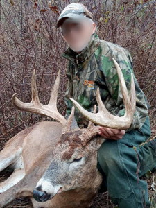 Windy Ridge – Conservation Homestead – 187 ± Acres in Monroe Cty - image 8