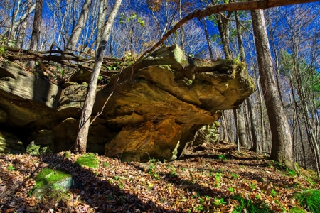Windy Ridge – Conservation Homestead – 187 ± Acres in Monroe Cty - image 11