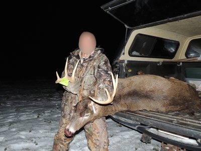 Windy Ridge – Conservation Homestead – 187 ± Acres in Monroe Cty - image 44