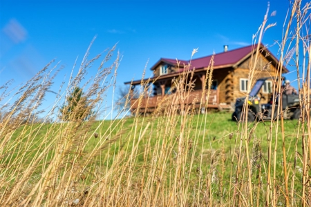 Windy Ridge – Conservation Homestead – 187 ± Acres in Monroe Cty - image 2