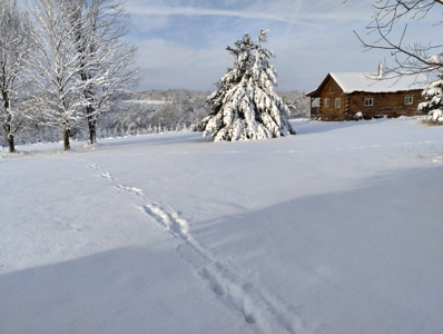 Windy Ridge – Conservation Homestead – 187 ± Acres in Monroe Cty - image 3