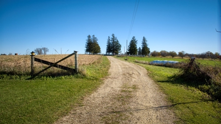 Windy Ridge – Conservation Homestead – 187 ± Acres in Monroe Cty - image 5