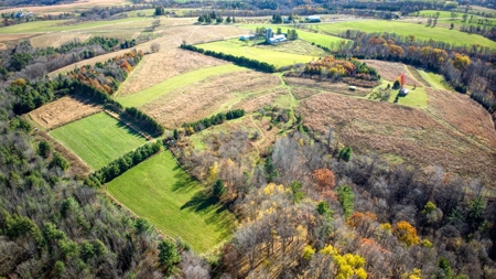 Windy Ridge – Conservation Homestead – 187 ± Acres in Monroe Cty - image 1