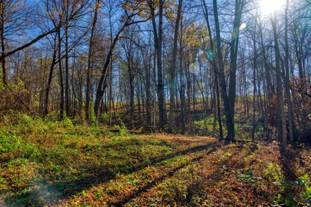 Windy Ridge – Conservation Homestead – 187 ± Acres in Monroe Cty - image 36