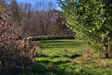 Windy Ridge – Conservation Homestead – 187 ± Acres in Monroe Cty - image 30