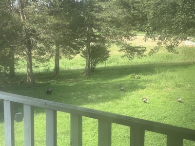 Country home with 21.73 acres for sale near Cave City Ky. - image 40