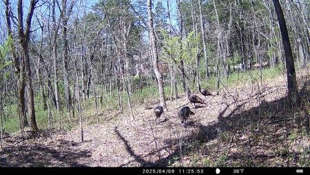 Country home with 21.73 acres for sale near Cave City Ky. - image 41