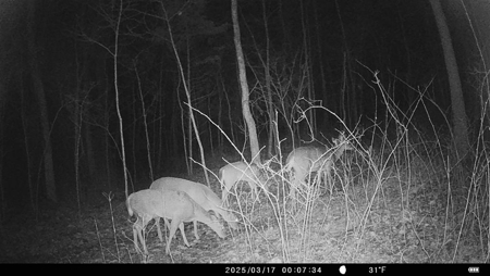 Country home with 21.73 acres for sale near Cave City Ky. - image 42