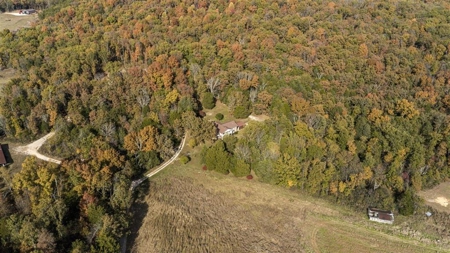 Country home with 21.73 acres for sale near Cave City Ky. - image 9