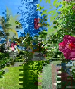 Hacienda Pacífica Home with Jacuzzi, Guest House and Large Garden - image 2