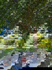 Hacienda Pacífica Home with Jacuzzi, Guest House and Large Garden - image 17