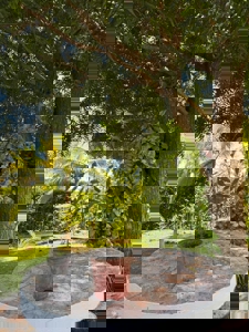 Hacienda Pacífica Home with Jacuzzi, Guest House and Large Garden - image 13