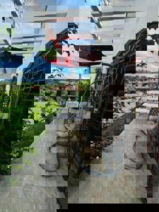 Hacienda Pacífica Home with Jacuzzi, Guest House and Large Garden - image 9