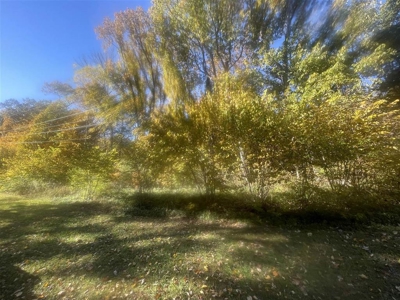 Residential lots for sale near Bowling Green, Ky. - image 4