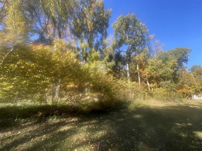 Residential lots for sale near Bowling Green, Ky. - image 5