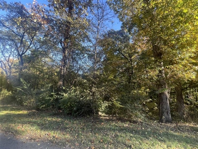 Residential lots for sale near Bowling Green, Ky. - image 1