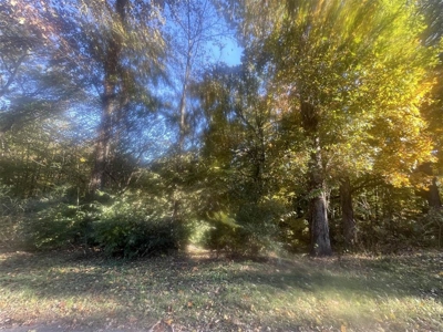 Residential lots for sale near Bowling Green, Ky. - image 3