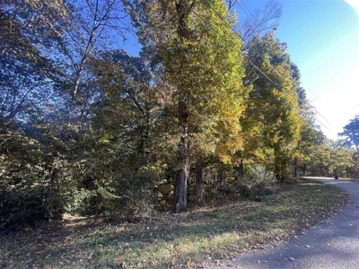 Residential lots for sale near Bowling Green, Ky. - image 2
