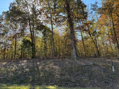 Land Lot To Build On For Sale In Hardin County Tn - image 2