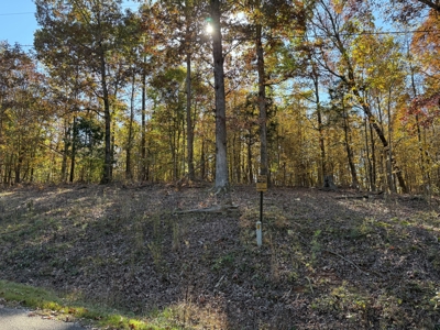 Land Lot To Build On For Sale In Hardin County Tn - image 3