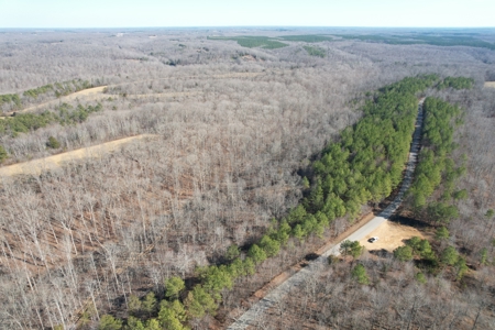 Land for sale in Wayne County TN - image 1