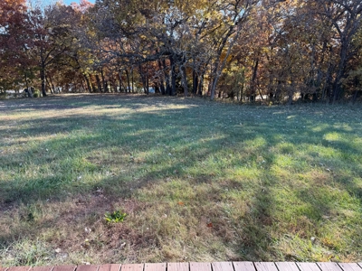 Lake Viking MO Lot 1667 – Half Timber, Half Open, With Power - image 27