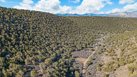 Private Land and Off-Grid Cabin in De Beque, CO - image 37