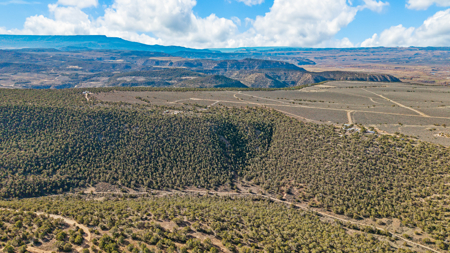 Private Land and Off-Grid Cabin in De Beque, CO - image 35