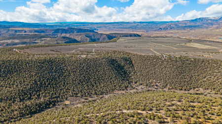 Private Land and Off-Grid Cabin in De Beque, CO - image 36