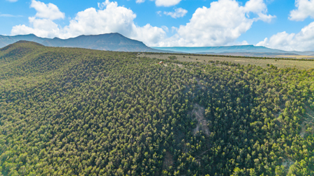 Private Land and Off-Grid Cabin in De Beque, CO - image 11