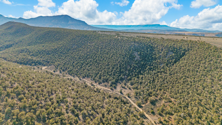 Private Land and Off-Grid Cabin in De Beque, CO - image 38