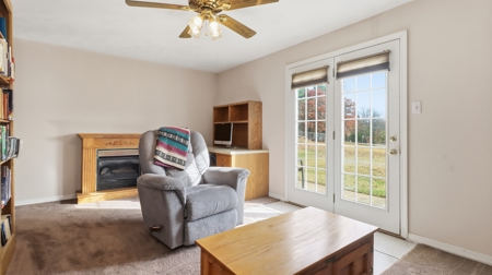 Contemporary Ranch in the Fairview Schools, West Plains, MO - image 21