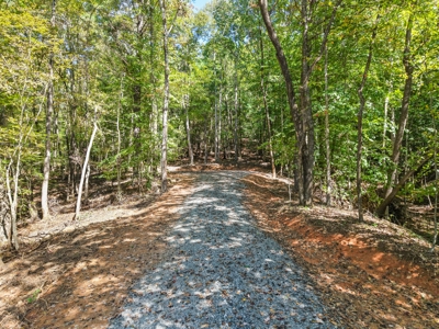 Acreage For Sale with Cleared Access & Homesite - Taylorsville NC - image 12
