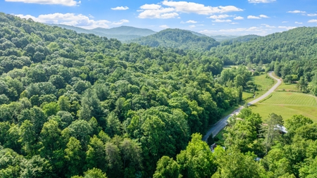 Acreage For Sale with Cleared Access & Homesite - Taylorsville NC - image 4