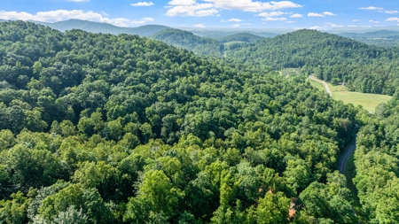 Acreage For Sale with Cleared Access & Homesite - Taylorsville NC - image 8