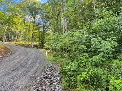 Acreage For Sale with Cleared Access & Homesite - Taylorsville NC - image 11
