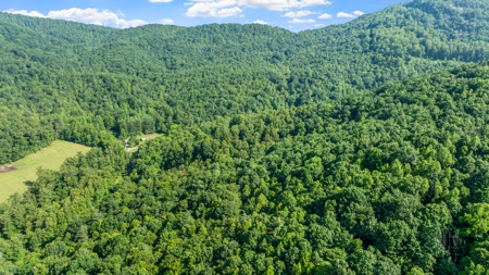 Acreage For Sale with Cleared Access & Homesite - Taylorsville NC - image 6