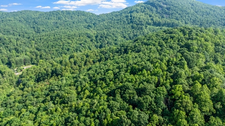 Acreage For Sale with Cleared Access & Homesite - Taylorsville NC - image 5