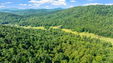 Acreage For Sale with Cleared Access & Homesite - Taylorsville NC - image 7