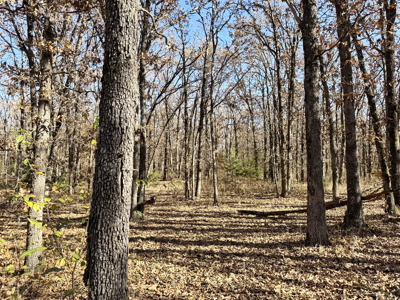 Recreational Land and Build-Sites for Sale in Cedar County MO - image 33