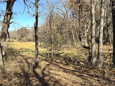 Recreational Land and Build-Sites for Sale in Cedar County MO - image 36