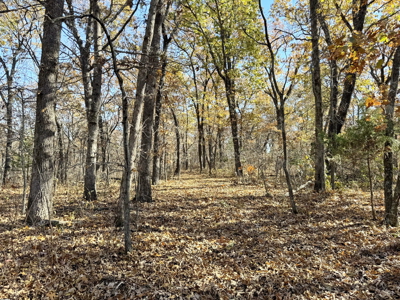 Recreational Land and Build-Sites for Sale in Cedar County MO - image 42