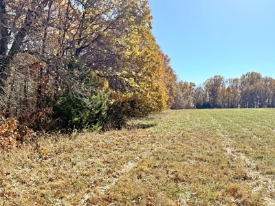 Recreational Land and Build-Sites for Sale in Cedar County MO - image 47