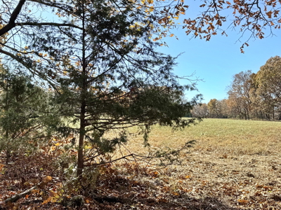 Recreational Land and Build-Sites for Sale in Cedar County MO - image 46