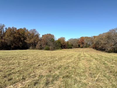 Recreational Land and Build-Sites for Sale in Cedar County MO - image 18